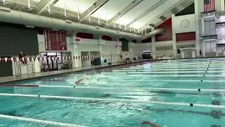 Thumbnail: 50 Freestyle PB (19.3?)