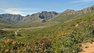 Thumbnail: Jonkershoek  Nature Reserve | A Fynbos Wilderness Shaped by Water and Fire (Wildlife Documentary)