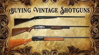 Thumbnail: BUYING VINTAGE SHOTGUNS