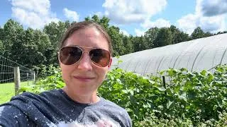 Thumbnail: Welcome to the Farmer’s Market Series