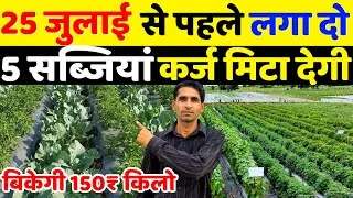 Thumbnail: 25 जुलाई से पहले लगा दो ये 5 सब्जियाँ बिकेगी 200 किलो | July Me Konsi Sabji Lagaye | July Vegetables