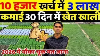 Thumbnail: मात्र 10 हजार लगाकर 3 लाख कमाई वाली खेती | Dhaniya Ki Kheti | Muli Ki Kheti | Palak Ki Kheti | Kheti