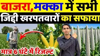 Thumbnail: बाजरा,मक्का के बेस्ट खरपतवार नाशक | Makka Me Kharpatwar Nashak Dawa | Bajra Me Kharpatwar Nashak Dwa