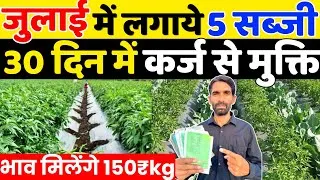 Thumbnail: जुलाई में कौनसी सब्जी लगाएँ | July Me Konsi Sabji Lagaye | July Me Sabji Ki Kheti | July Vegetables