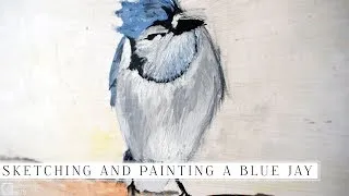 Thumbnail: Sketching and Painting a Blue Jay :)