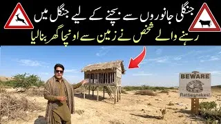 Thumbnail: I Found a Man Living Above the Ground to Escape Wild Animals