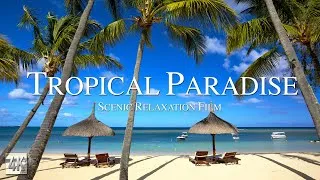 Thumbnail: Tropical Paradise 4K Relaxation Video | Escape to Paradise With Tropical Beaches Drone Footage in 4K