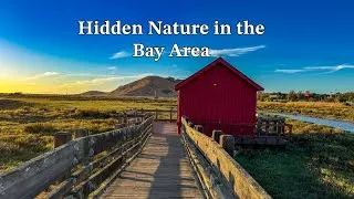 Thumbnail: Exploring Don Edwards San Francisco Bay National Wildlife Refuge | Fremont, California