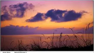 Thumbnail: Musica rilassante per leggere, studiare, leggere, concentrarsi, meditare & SPA.