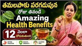 Thumbnail: ఇన్ని ఆరోగ్య ప్రయోజనాలు ఉన్నాయని తెలిస్తే ఇక  తమలపాకు ను వదలరు