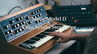 Thumbnail: Moog Minimoog & Erica Synths Steampipe // Analog meets Digital