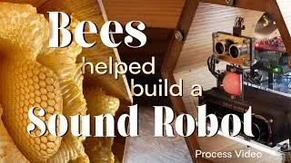 Thumbnail: Bees Helped Me Build a Sound Sculpture - The Making of "The Translation Machine"