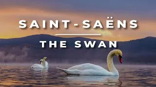 Thumbnail: Saint-Saëns - The Swan | Relaxing Classical Cello and Piano Music