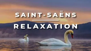 Thumbnail: Saint-Saëns - The Swan | Relaxing Classical Cello and Piano Music | 1 HOUR