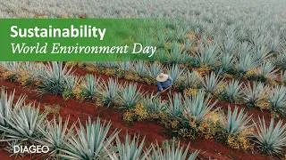 Thumbnail: How we’re replenishing water in Jalisco | World Environment Day 2026 | Diageo