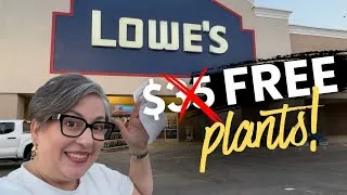 Thumbnail: Don't Lose Your Lowe's Money! How I Got Free Plants