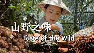 Thumbnail: Taste of the Wild — Mountain Flavors of Yunnan After the Rain【滇西小哥】