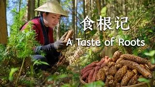 Thumbnail: Roots on the Table Collection | Flavors Hidden in the Soil【滇西小哥】