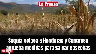 Thumbnail: Sequía golpea a Honduras y Congreso aprueba medidas para salvar cosechas