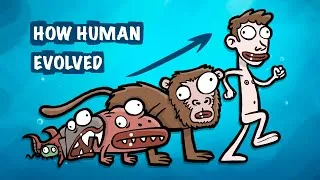 Thumbnail: Human evolution
