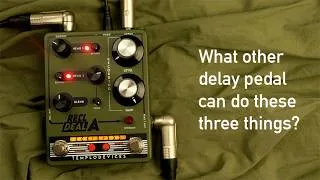 Thumbnail: Templo Devices Reel Deal A: What other delay pedal can do these three things?