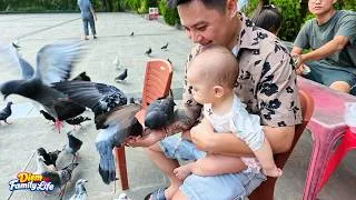 Thumbnail: Baby Kim was thrilled to see pigeons for the first time with Diem