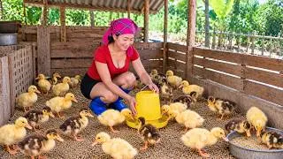 Thumbnail: 🦆 Welcoming My Mother to the Farm & Raising 10,000 Baby Ducklings She Brought Along | Diet's Story