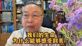 Thumbnail: 我们的生命为什么能够感受到美？
