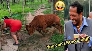 Thumbnail: Top Funniest Videos And Pranks Of The Month🤣// Try Not To Laugh Extremely Impossible 