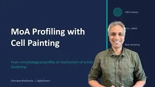 Thumbnail: 06b - MoA Profiling with Cell Painting