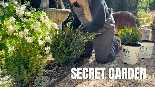 Thumbnail: Day 12 - I Spent 30 Days Transforming My Garden