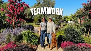 Thumbnail: Day 11 - I Spent 30 Days Transforming My Garden