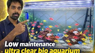 Thumbnail: Dream Aquarium at Home 😍 | Low Maintenance Setup Anyone Can Do #home #interiordesign