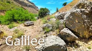 Thumbnail: Arbel Stream in Galilee Has Disappeared… But the Place Is Still Magical