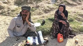 Thumbnail: Azam and Nemati take their sheep deep into the mountains! The story of an energetic couple.