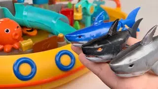 Thumbnail: [🐰toy asmr🐰] Zuru Robo Alive Shark & Aquarium Playset ASMR Satisfying with Unboxing | Review Toys