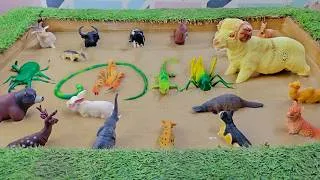 Thumbnail: The Epic Learning About Farm Jungle Animals and Amazon Reptiles for Kids!