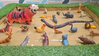 Thumbnail: Brave the Wild! 🐆🐘 A Journey Through the World of Predators and Prey