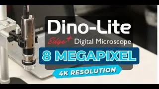 Thumbnail: New! 8MP Dino-Lite EdgePLUS - Reveal the finest details in 4K Ultra High Resolution!