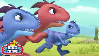 Thumbnail: 📣 Scaring Away the Raptors with a Dino Roar! 🦖 | Dino Ranch | Cartoons for Kids