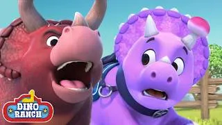 Thumbnail: 🦕 The Great Dinosaur Turnip Chase! 💨 | Dino Ranch | Cartoons For Kids