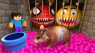 Thumbnail: Hamster Kombat VS Pacman Monster in Ball pool Maze Hamster escapes the awesome escape maze Part 2