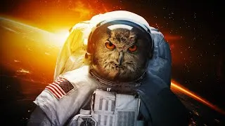 Thumbnail: Going to Space in Fallout Tale of Two Wastelands