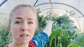Thumbnail: Too Much Food Is a Good Problem to Have