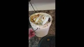 Thumbnail: No Turn Composting #compost #compostbin #vegetablegarde