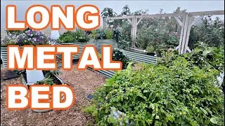 Thumbnail: THE LONGEST METAL RAISED GARDEN BED FALL REVIEW (Anleolife)