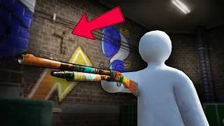 Thumbnail: Can You SPOT the Chameleon? - Meccha Chameleon