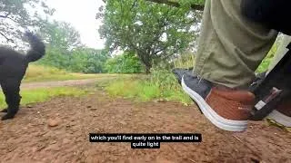 Thumbnail: Accessibility at Blickling Estate Multi Use Trail, a National Trust site
