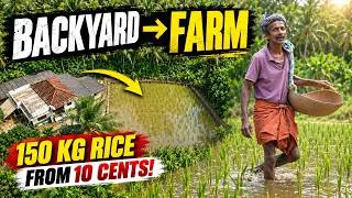 Thumbnail: He Turned His Backyard Into a Rice Farm |