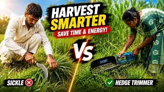 Thumbnail: Can This Grass Harvesting Hedge Trimmer Replace a Sickle?
